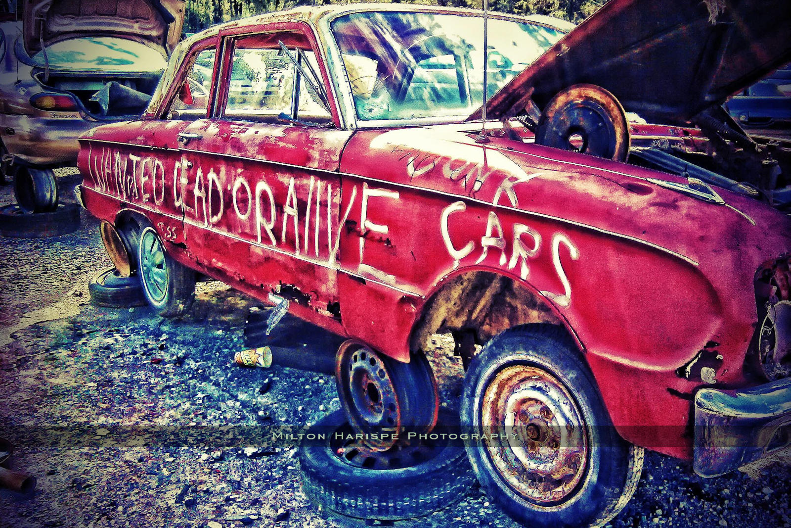 Wanted Dead Or Alive